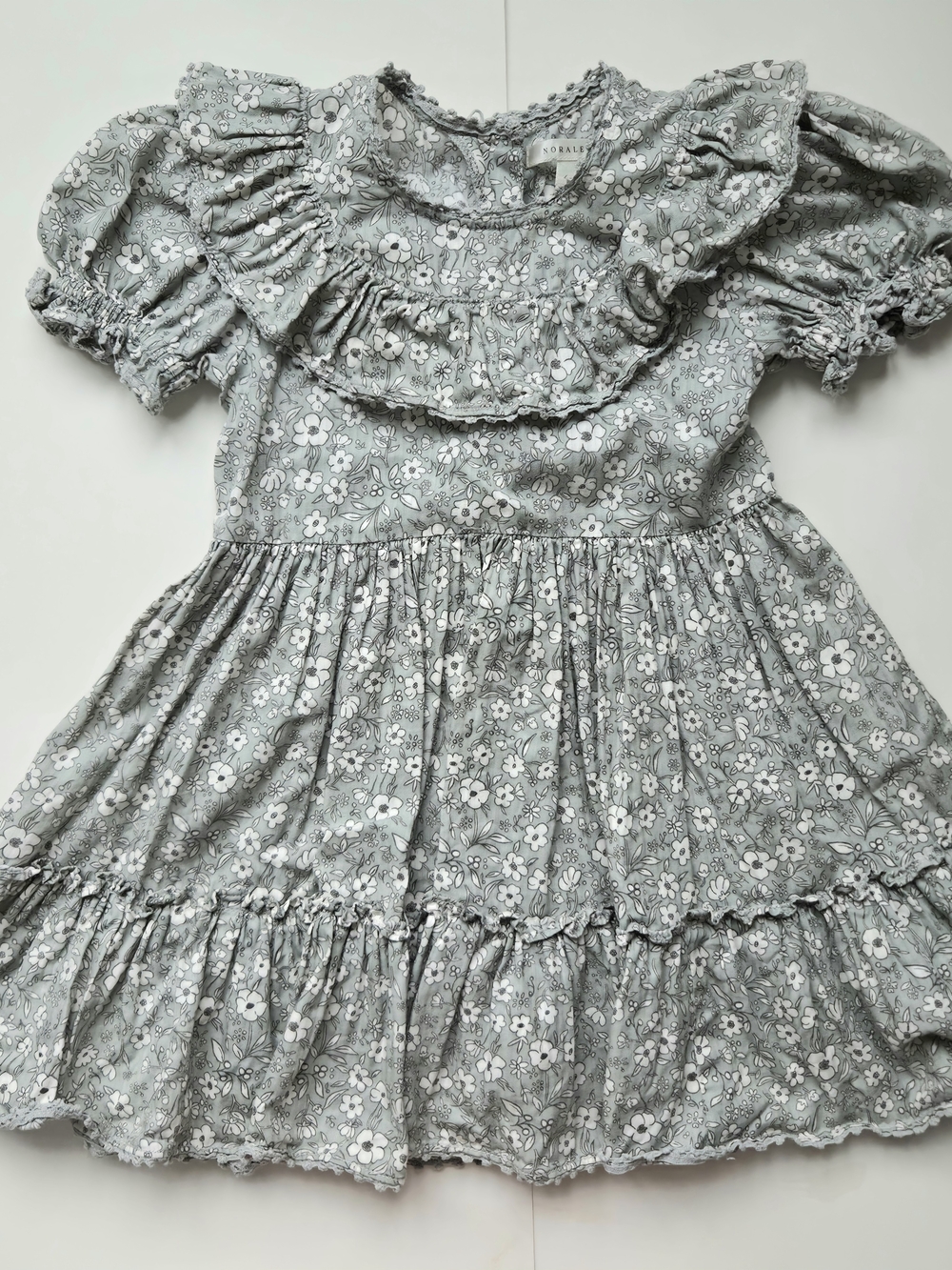 Noralee Eva Dress In Sky Floral